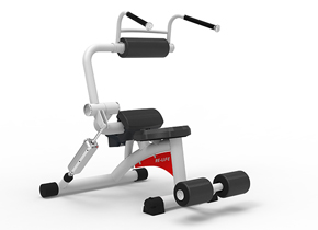 RL8107 Ab Crunch/Back Extension